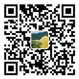 55世纪官方网站
